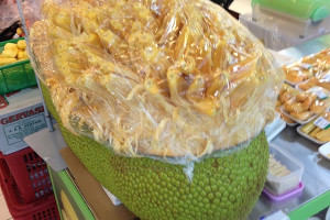 Jackfruit – Artocarpus heterophyllus Jackfruit – Artocarpus heterophyllus