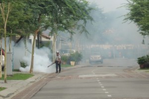 Worried about your over use of insecticide sprays? Don’t be! Worried about your over use of insecticide sprays? Don’t be!