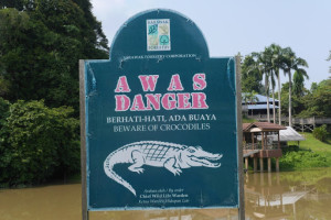 A walk in the woods – Niah National Park, Miri, Sarawak, Malaysia – the park and the caves A walk in the woods – Niah National Park, Miri, Sarawak, Malaysia – the park and the caves