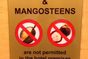 A day of new fruits… Mangosteens and Rambutans A day of new fruits… Mangosteens and Rambutans