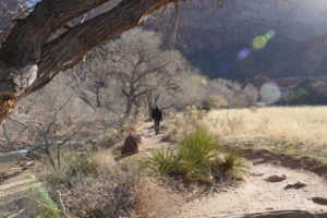 The Watchman Trail – Zion National Park, Utah The Watchman Trail – Zion National Park, Utah