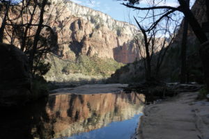 A walk in the woods…. The Grotto and Emerald Pools Trail – Zion National Park, Utah A walk in the woods…. The Grotto and Emerald Pools Trail – Zion National Park, Utah