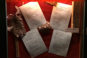 Dinner at Maximilian – St Anton Dinner at Maximilian – St Anton