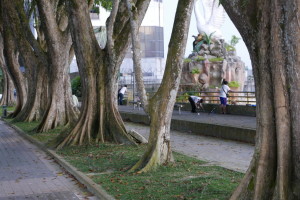 Around town – Sibu, Sarawak, Malaysia Around town – Sibu, Sarawak, Malaysia