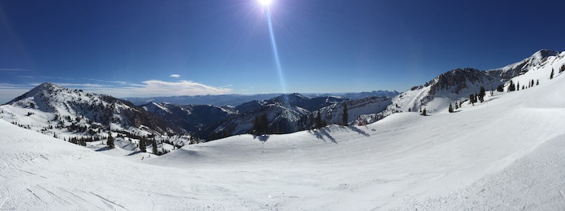 skiing snowbird