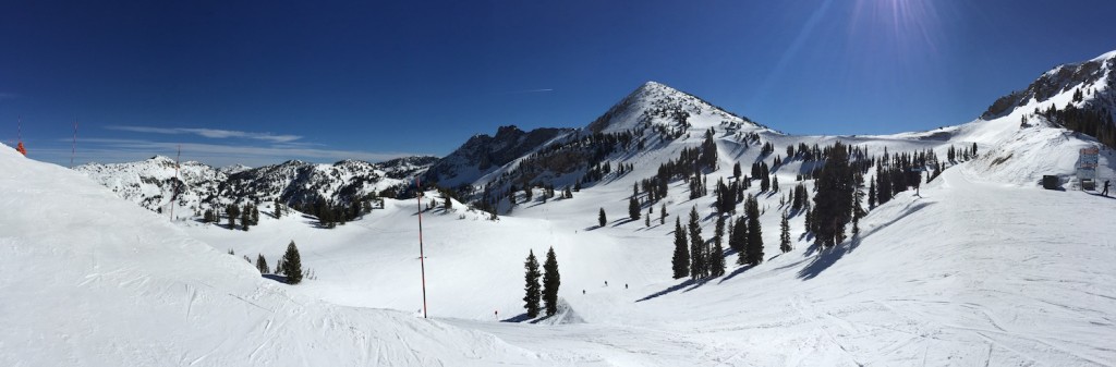 skiing snowbird - Just wow!