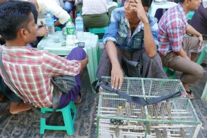 Bogyoke Market (Scotts Market), Yangon (Rangoon), Myanmar (Burma) Bogyoke Market (Scotts Market), Yangon (Rangoon), Myanmar (Burma)