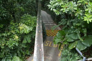 Imbiah Trail, Sentosa, Singapore Imbiah Trail, Sentosa, Singapore