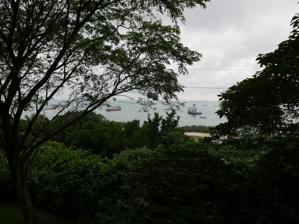 View from Imbiah Gun Emplacement - note, there would have been no trees when the site was operational