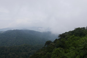 Hill Top Travel and Tour – Puncak Gunung Brinchang and Watch Tower, Cameron Highlands, Malaysia Hill Top Travel and Tour – Puncak Gunung Brinchang and Watch Tower, Cameron Highlands, Malaysia