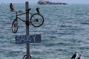 Seashell Cafe, Cervantes WA 6511, Australia – 28 August 2015 10:04 Seashell Cafe, Cervantes WA 6511, Australia – 28 August 2015 10:04