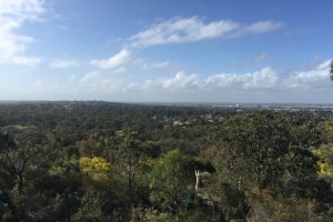Bold Park Reserve, Perth, Australia Bold Park Reserve, Perth, Australia