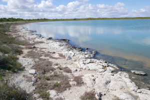 Stromatolites and Lake Thetis, Cervantes WA 6511, Australia – part 2 of 2 Stromatolites and Lake Thetis, Cervantes WA 6511, Australia – part 2 of 2