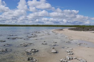 Stromatolites and Lake Thetis, Cervantes WA 6511, Australia – part 1 of 2 Stromatolites and Lake Thetis, Cervantes WA 6511, Australia – part 1 of 2
