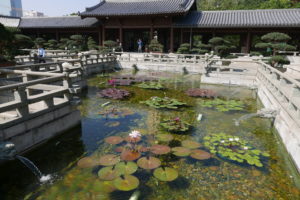 Chi Lin Nunnery 志蓮淨苑, Diamond Hill, Hong Kong Chi Lin Nunnery 志蓮淨苑, Diamond Hill, Hong Kong