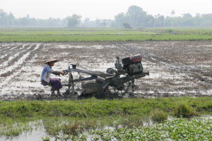 The Mandalay Bike Tour – Grasshopper Tours, Mandalay, Myanmar (Burma) – part 4 of 4 The Mandalay Bike Tour – Grasshopper Tours, Mandalay, Myanmar (Burma) – part 4 of 4
